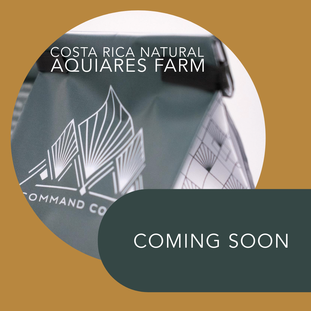 Costa Rica Aquiares Mariana Natural Command Coffee